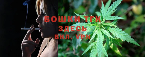 соль ск Алексин