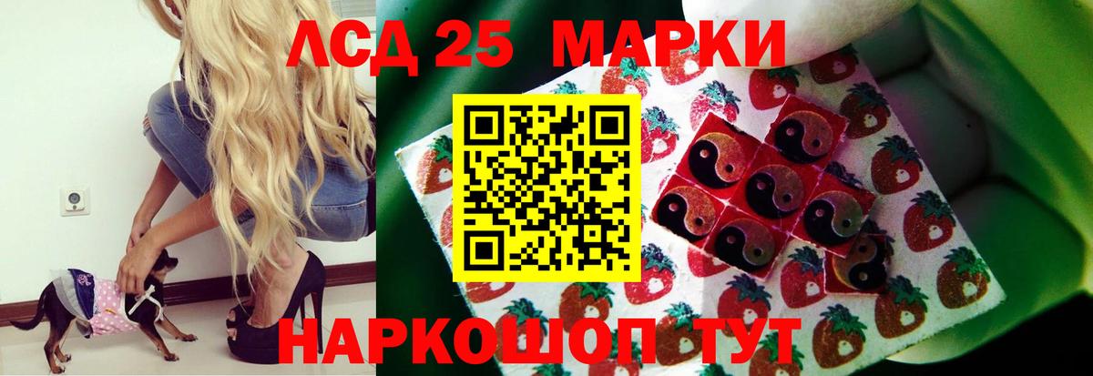 LSD-25 экстази ecstasy  hydra зеркало  LSD-25 экстази ecstasy  Махачкала  Вход с VPN  ЛСД экстази 