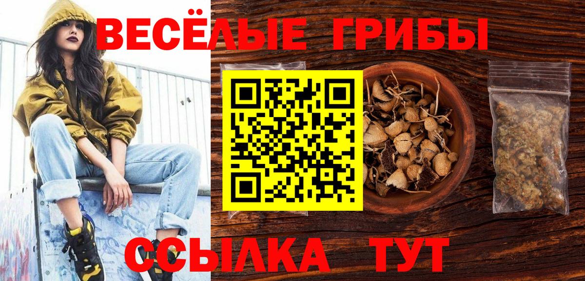 Псилоцибиновые грибы прущие грибы  Вход с VPN  Псилоцибиновые грибы MAGIC MUSHROOMS  Махачкала 